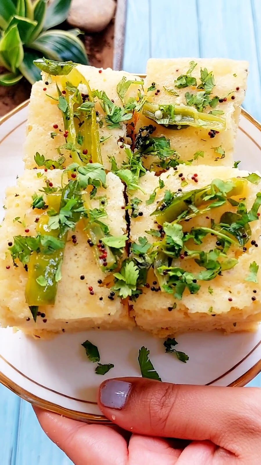 Gujarati Khaman Dhokla Recipe gujrati khaman dhokla