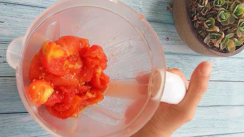 easy homemade pizza sauce recipe with step by step instruction.