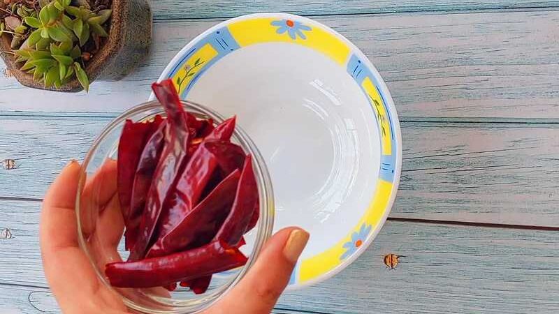 spicy lal chatni in 5 min recipe homemade and easy