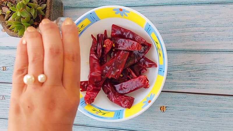 spicy lal chatni in 5 min recipe homemade and easy