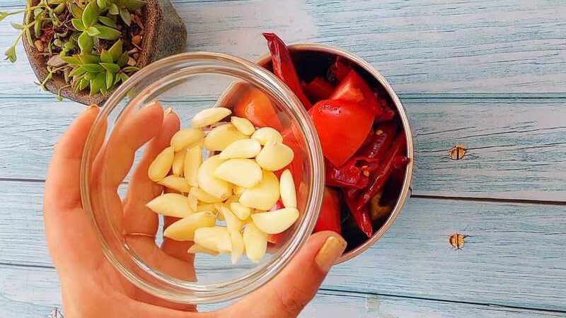 spicy lal chatni in 5 min recipe homemade and easy