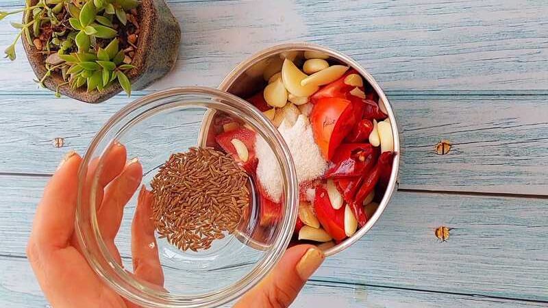 spicy lal chatni in 5 min recipe homemade and easy