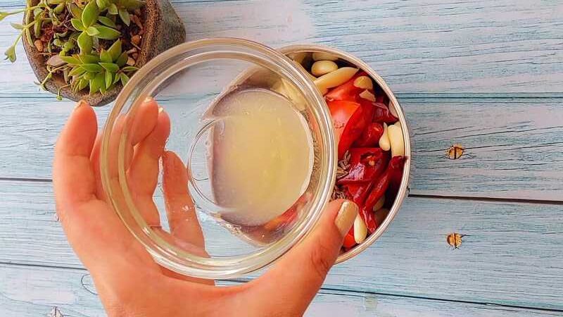 spicy lal chatni in 5 min recipe homemade and easy