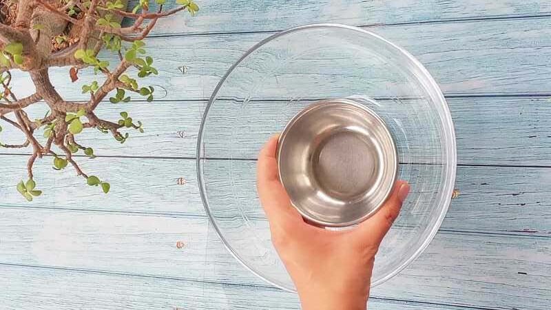 how to make crispy dosa batter recipe homemade and easy