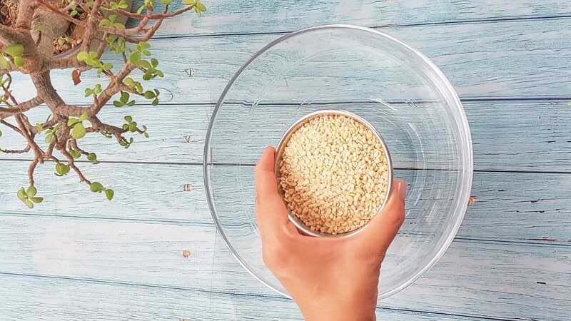 how to make crispy dosa batter recipe homemade and easy