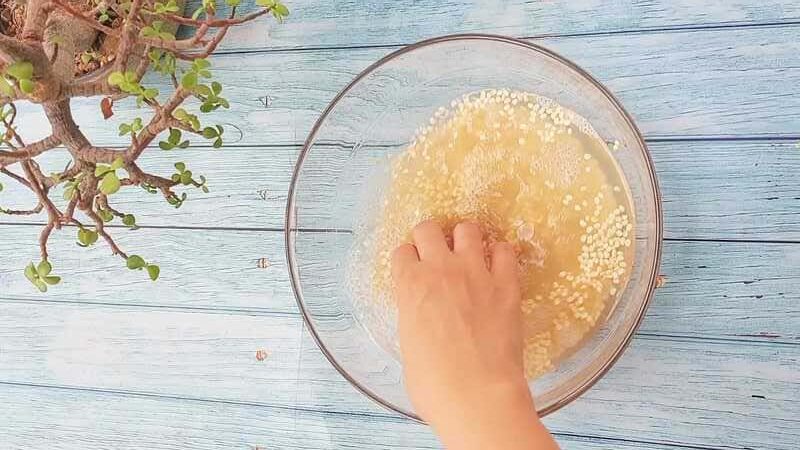 how to make crispy dosa batter recipe homemade and easy