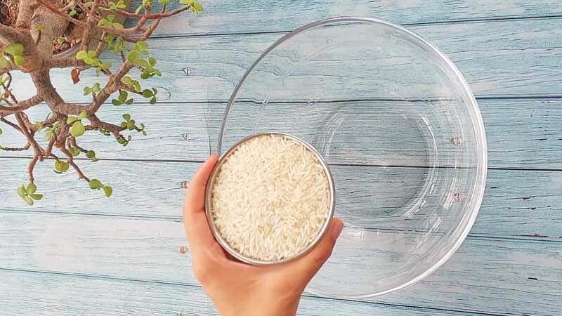 how to make crispy dosa batter recipe homemade and easy