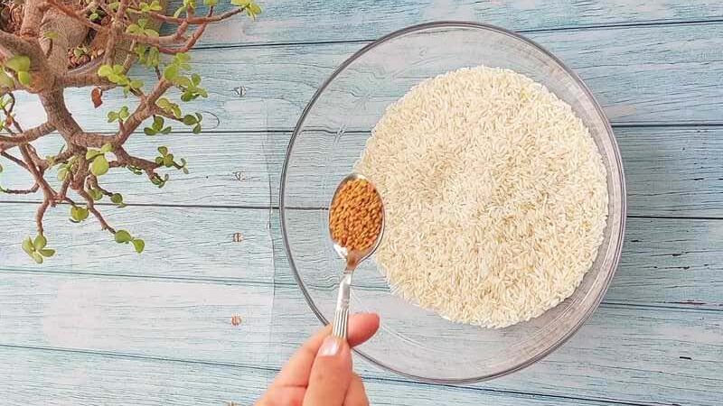 how to make crispy dosa batter recipe homemade and easy