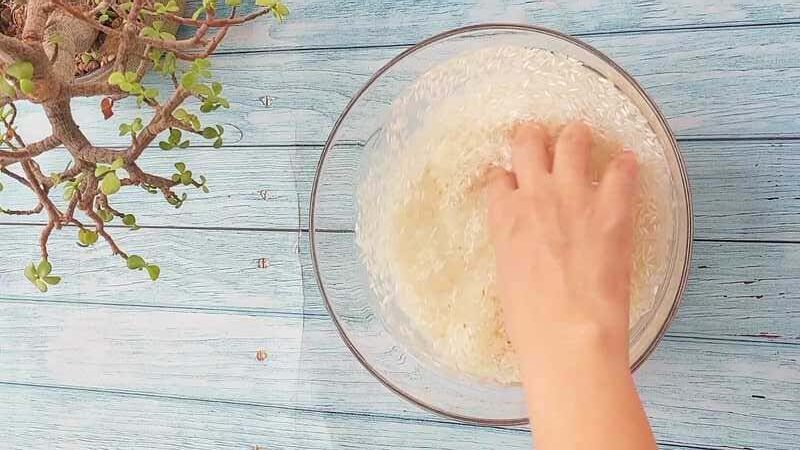 how to make crispy dosa batter recipe homemade and easy