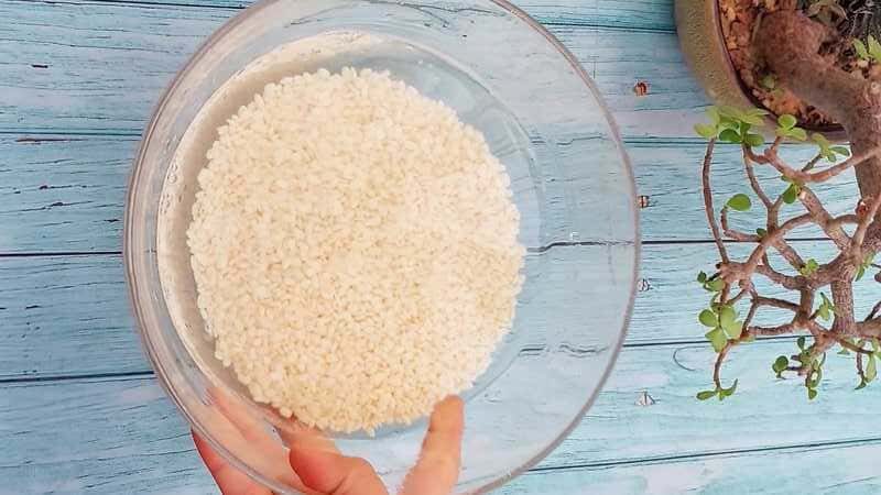 how to make crispy dosa batter recipe homemade and easy