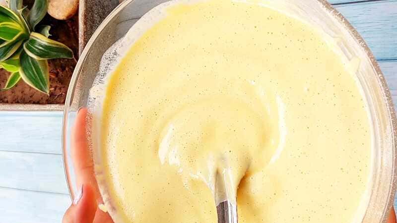 gujarati khaman dhokla recipe. homemade and easy.