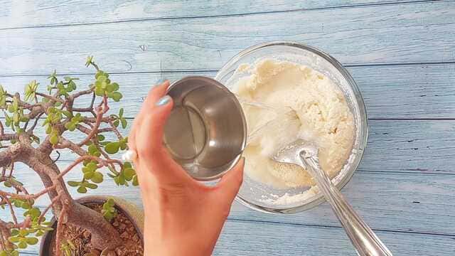 idli with red and green chutney