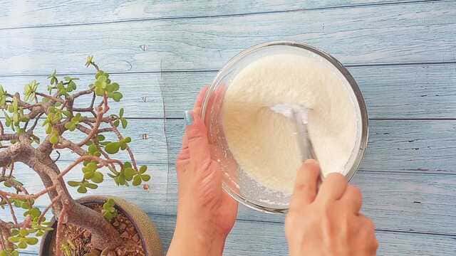 idli with red and green chutney