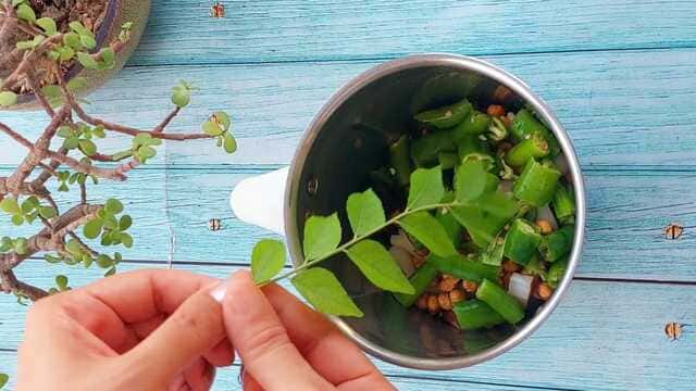 idli with red and green chutney