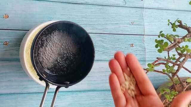 idli with red and green chutney