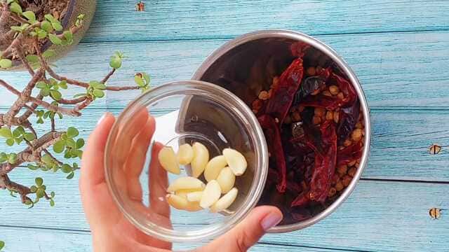 idli with red and green chutney