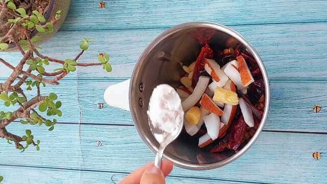 idli with red and green chutney