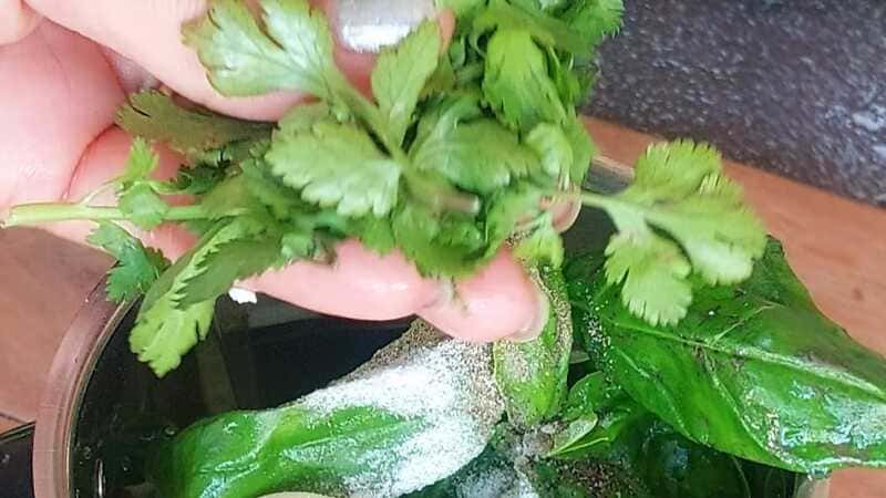 healthy salad with pesto dressing