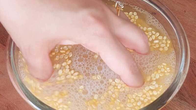 pani ke fulke with moong dal