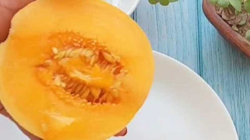 kharbuja seeds juice