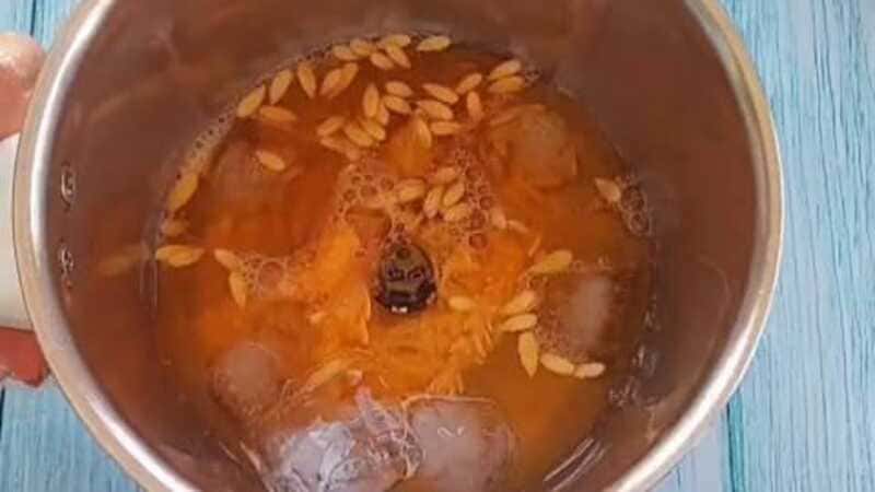 1000 rs Kilo Ka Juice I Muskmelon Seed Juice